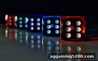 博彩平台新人免费奖金带你入门：牌九与时时彩的定胆实战全解析