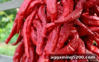 博彩平台新人免费奖金深度解析：开云体育每日充值返利与组合投注全攻略