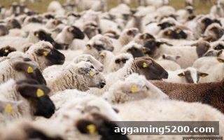2026世界杯观赛新方式：博彩平台新人免费奖金搭配ERC20充值体验